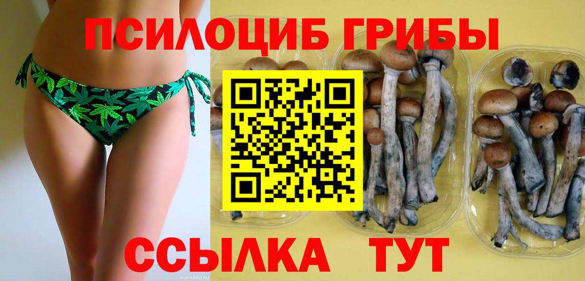 Архангельск  Галлюциногенные грибы GOLDEN TEACHER  Галлюциногенные грибы мухоморы  купить закладку  Вход с VPN 