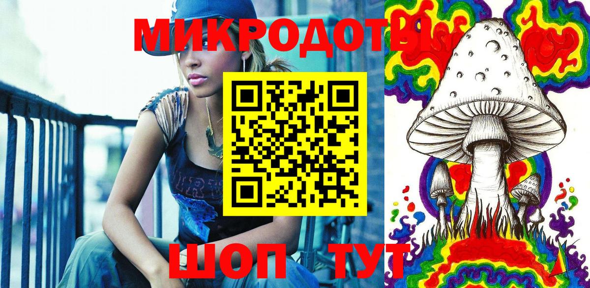 Псилоцибиновые грибы Psilocybe Архангельск